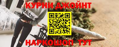 гидра Будённовск