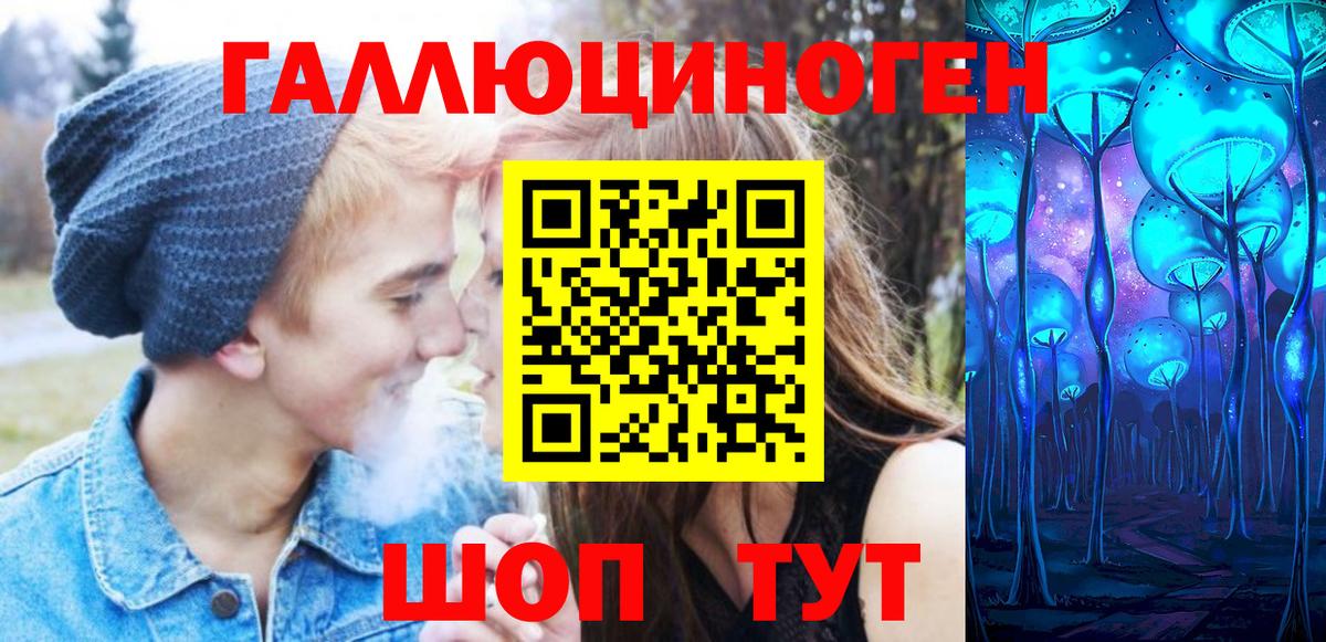 МЕФ Дербент