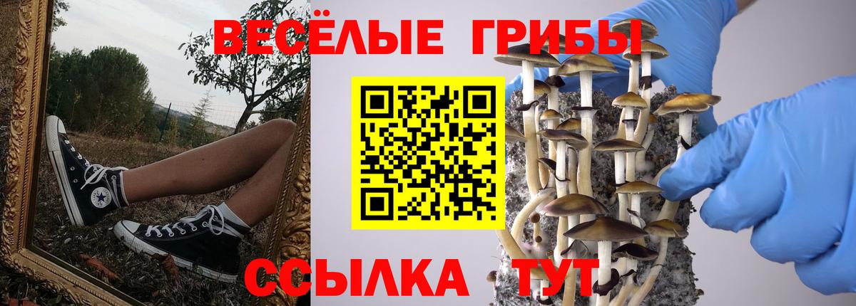 Мефедрон кристаллы  Марихуана  Лсд 25  Cocaine  A-PVP СК   ГАШ  Дербент  Вход с VPN 