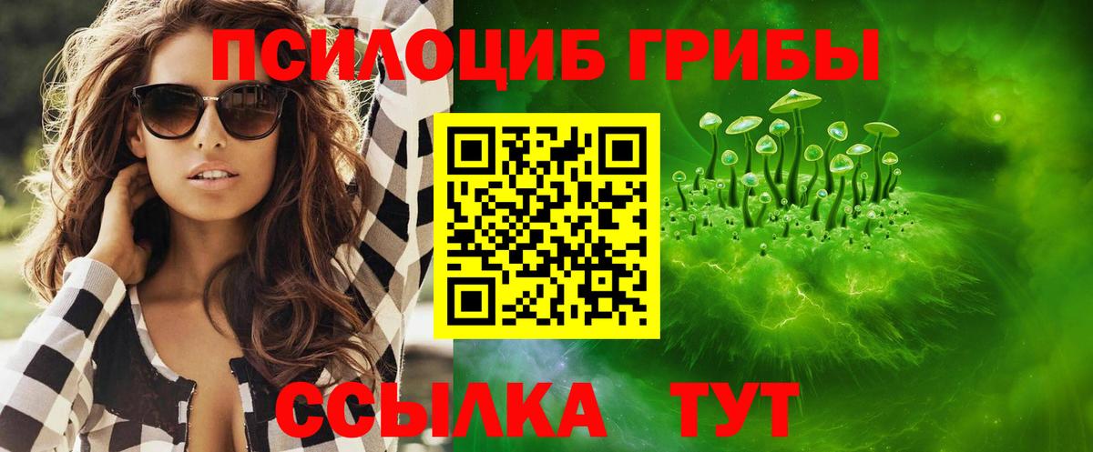 Галлюциногенные грибы Psilocybine cubensis Дербент